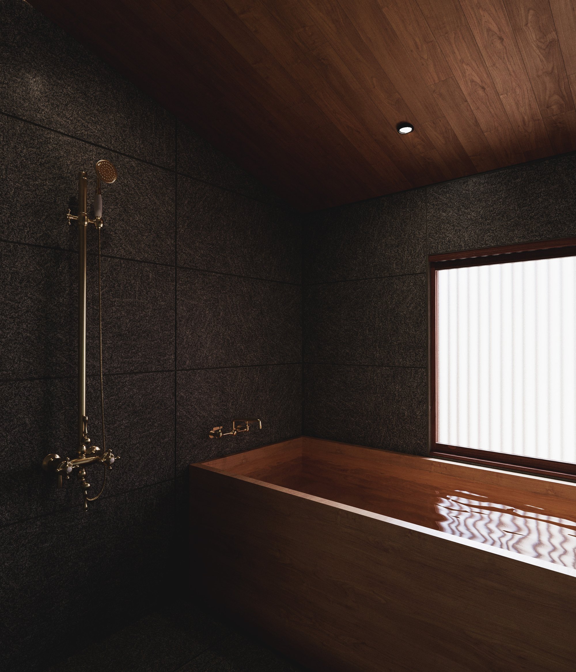 The bath, The Tomori House